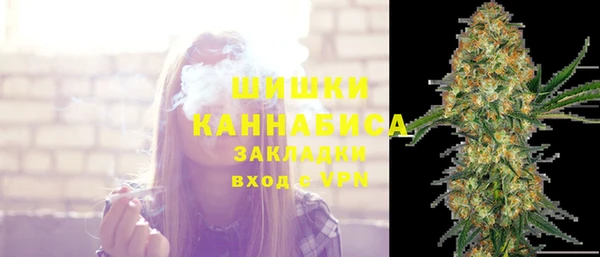 амф Пересвет