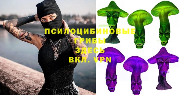 твердый Алексеевка